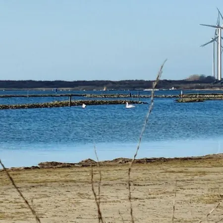 Beach Lodges Oostvoorne