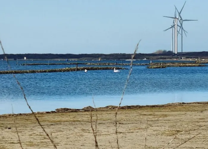 Beach Lodges Oostvoorne