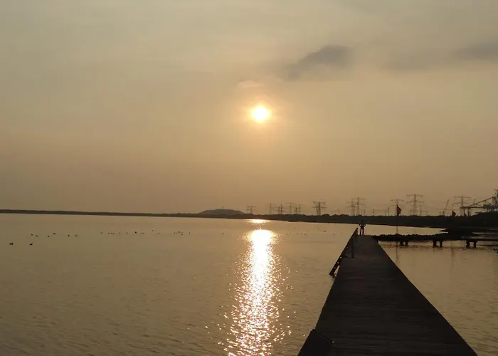 Orman Evi Beach Lodges Oostvoorne Oostvoorne